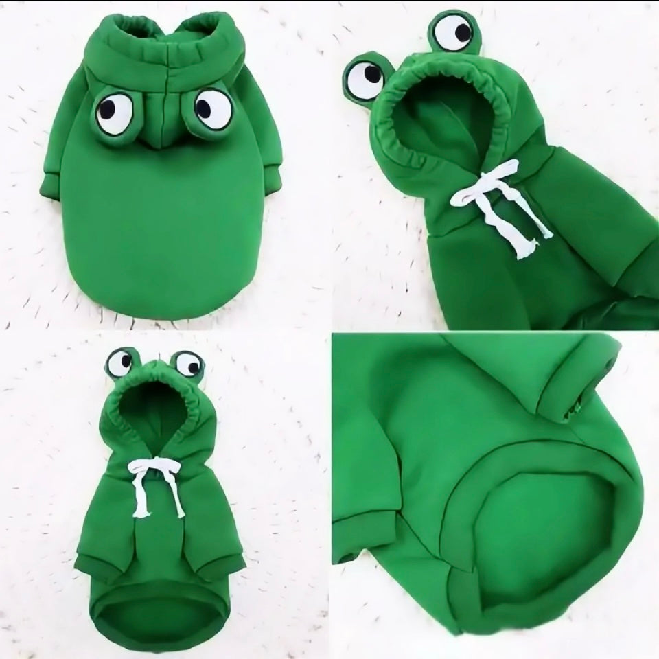 Frog Hoodie