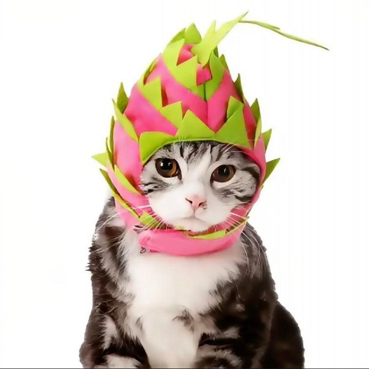 Dragon Fruit Hat